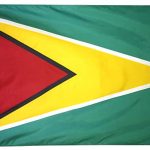 Guyana Flag