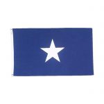 Bonnie Blue Flag